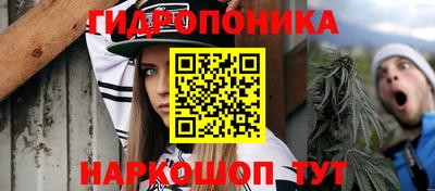 круглые Лесосибирск